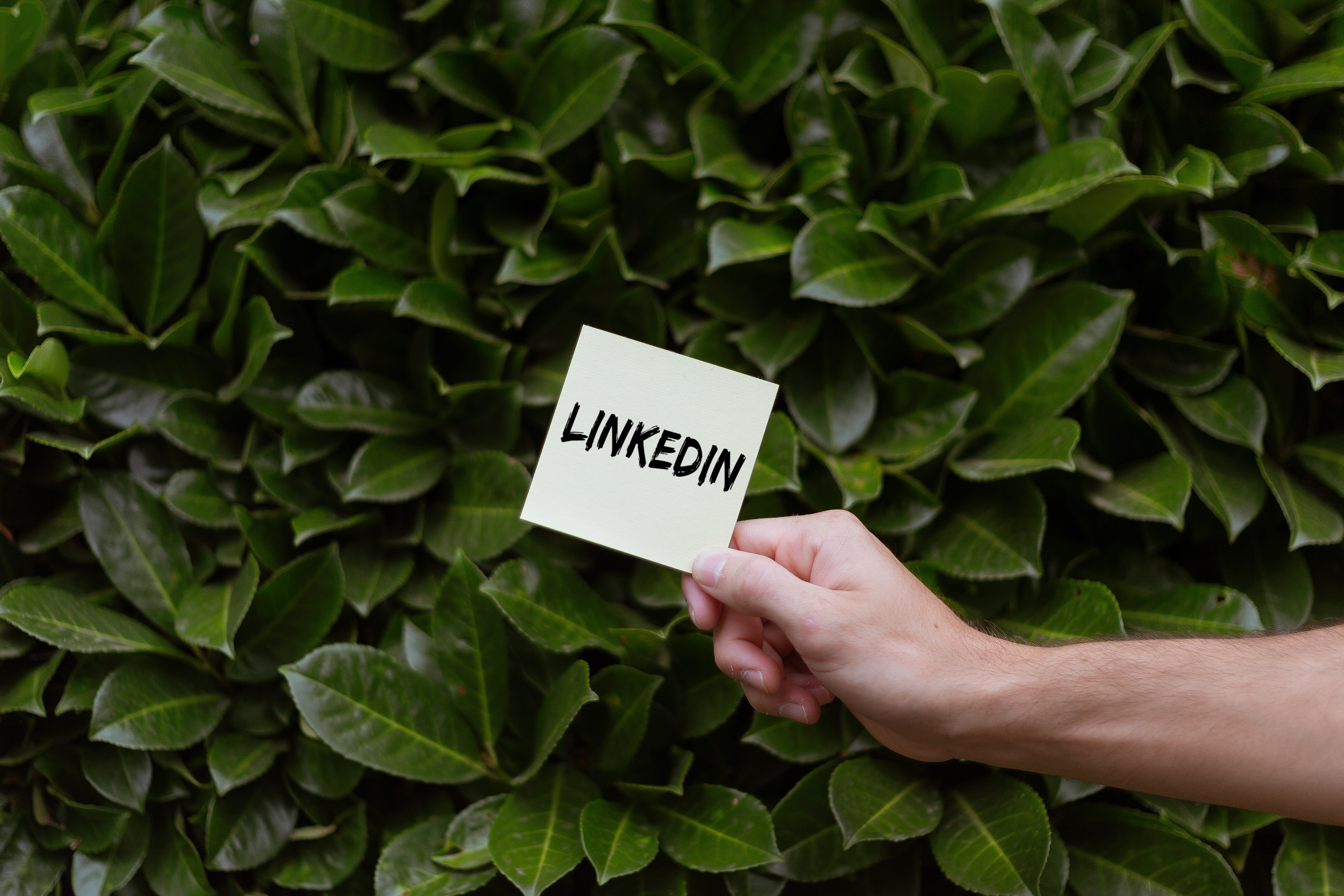 LinkedIn: Estrategias efectivas para buscadores de empleo